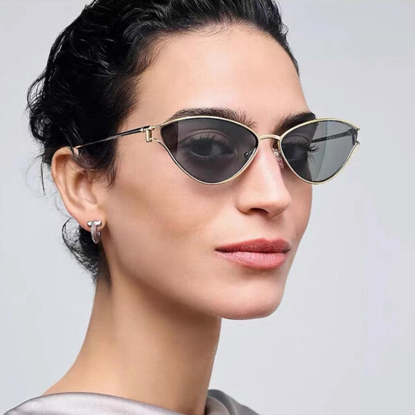 Triangle cat eye sunglasses with hollowed out high-end feel, new personalized sunglasses, trendy metal sunglasses - Image 5