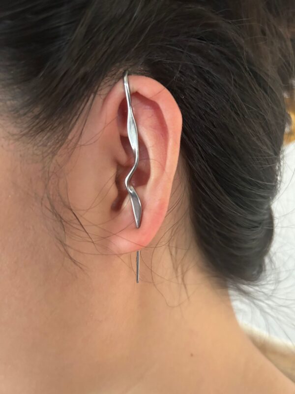 Stainless steel casting tiger snake ear hanging ear clip punk exaggerated puncture ear needle simple diagonal ear - Image 6