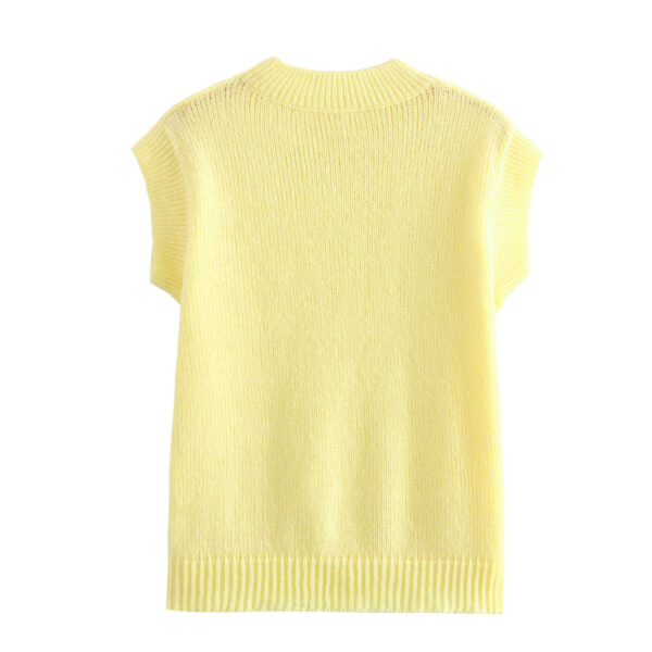 Fashion round neck knitted sweater vest autumn new item European and American cross-border women's street vest - Image 4