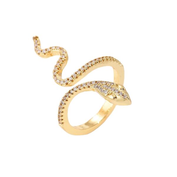 European and American snake shaped opening ring female INS niche personality ring - Image 3