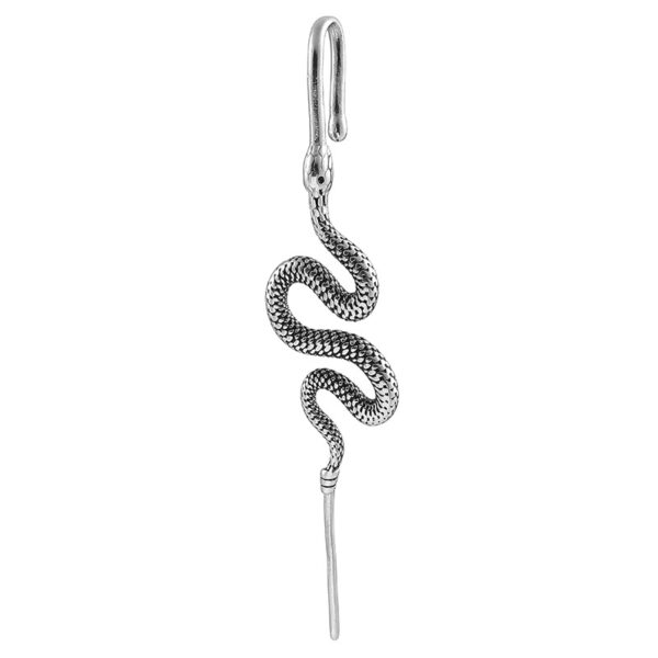 Stainless steel casting tiger snake ear hanging ear clip punk exaggerated puncture ear needle simple diagonal ear - Image 11