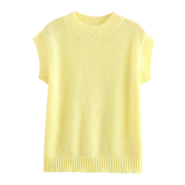 Fashion round neck knitted sweater vest autumn new item European and American cross-border women's street vest - Image 6